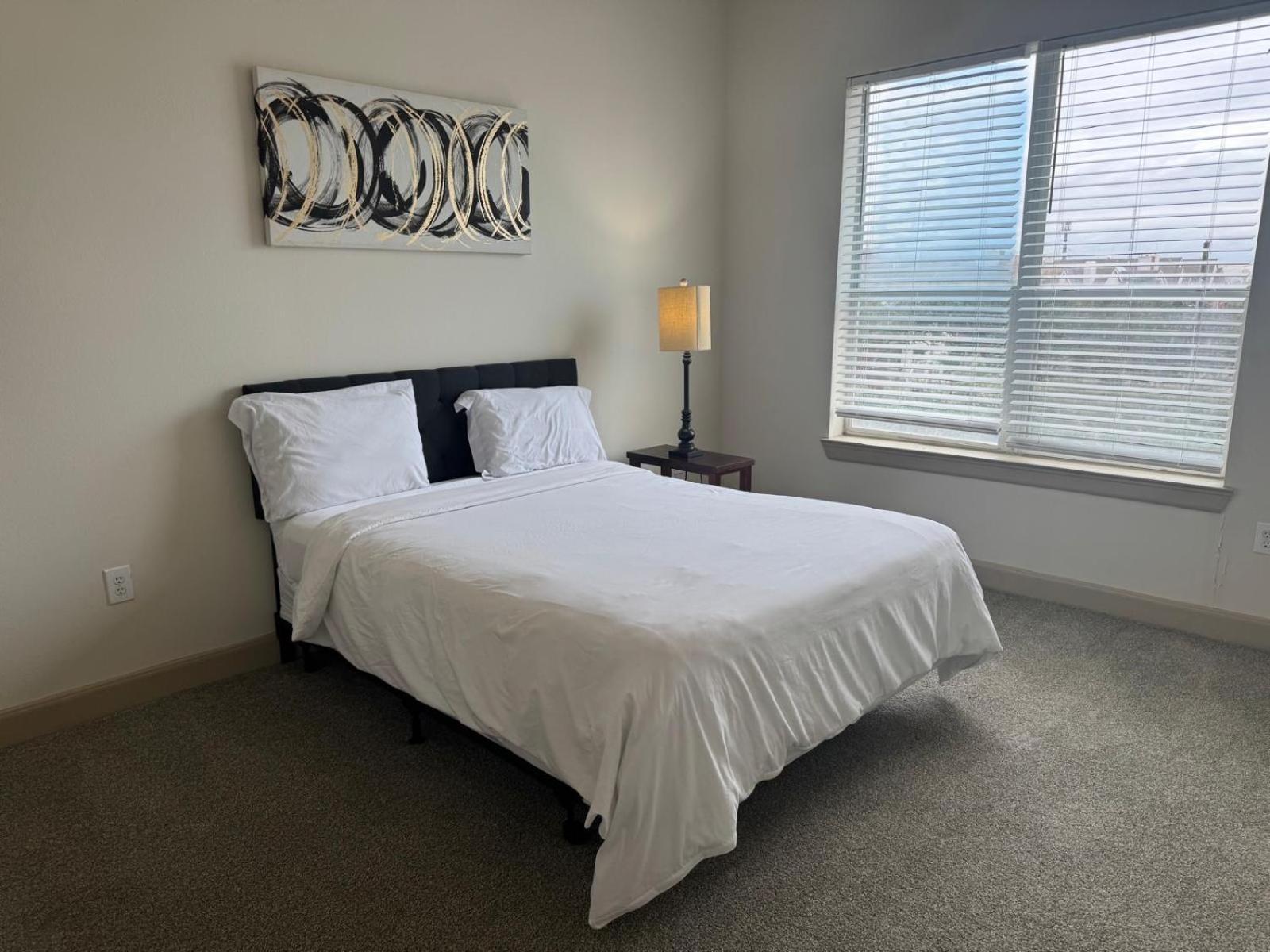 Gorgeous Furnished Apartments Near Texas Medical Center & Nrg Stadium Houston Habitación foto